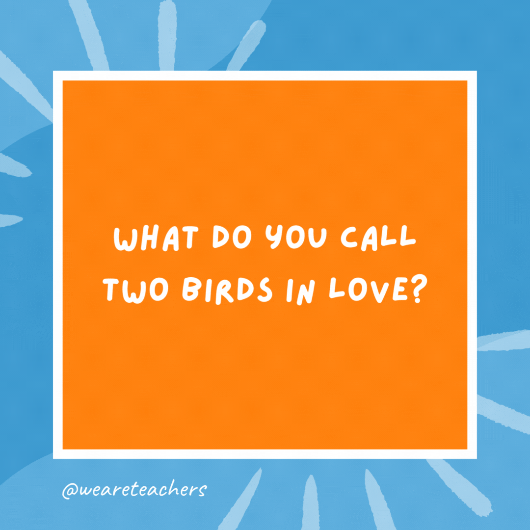 What do you call two birds in love? Tweethearts. What do you call two birds in love?
Tweethearts.- kindergarten jokes