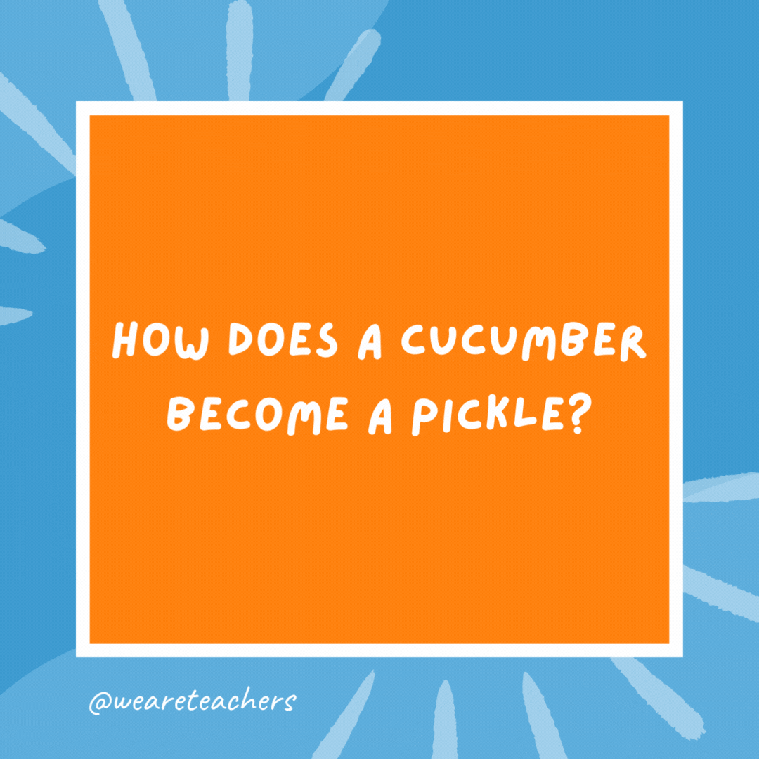 How does a cucumber become a pickle? It goes through a jarring experience. How does a cucumber become a pickle?
It goes through a jarring experience.