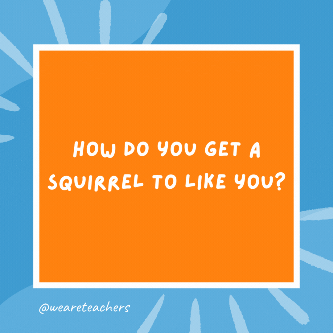 How do you get a squirrel to like you? Act like a nut. How do you get a squirrel to like you?
Act like a nut.