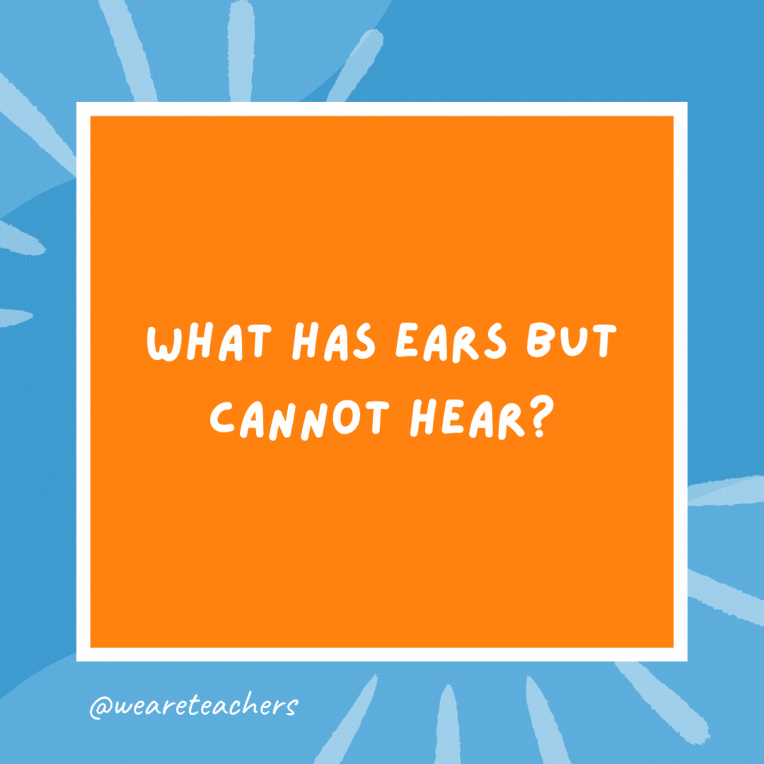What has ears but cannot hear? A cornfield. What has ears but cannot hear?
A cornfield.