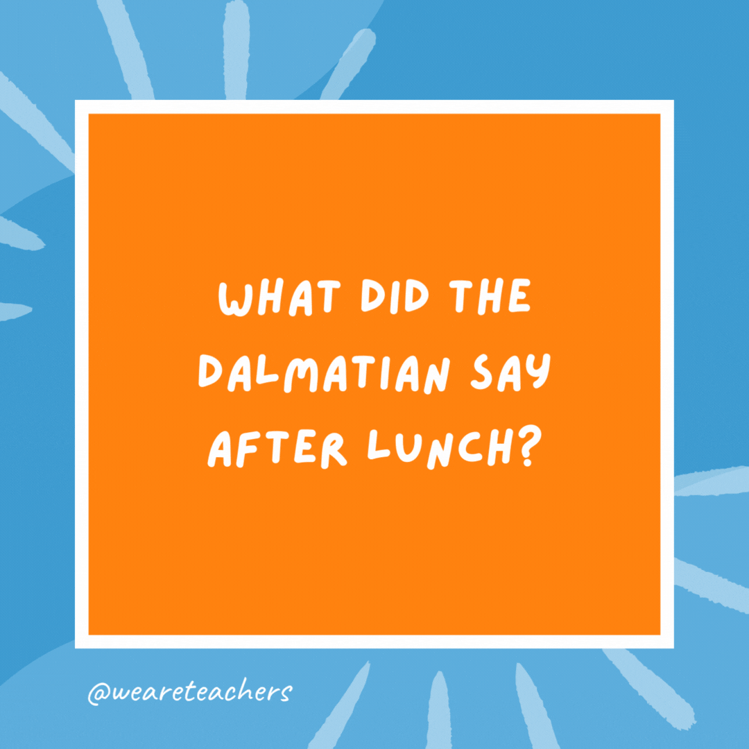 What did the dalmatian say after lunch? That hit the spot. What did the dalmatian say after lunch?
That hit the spot.