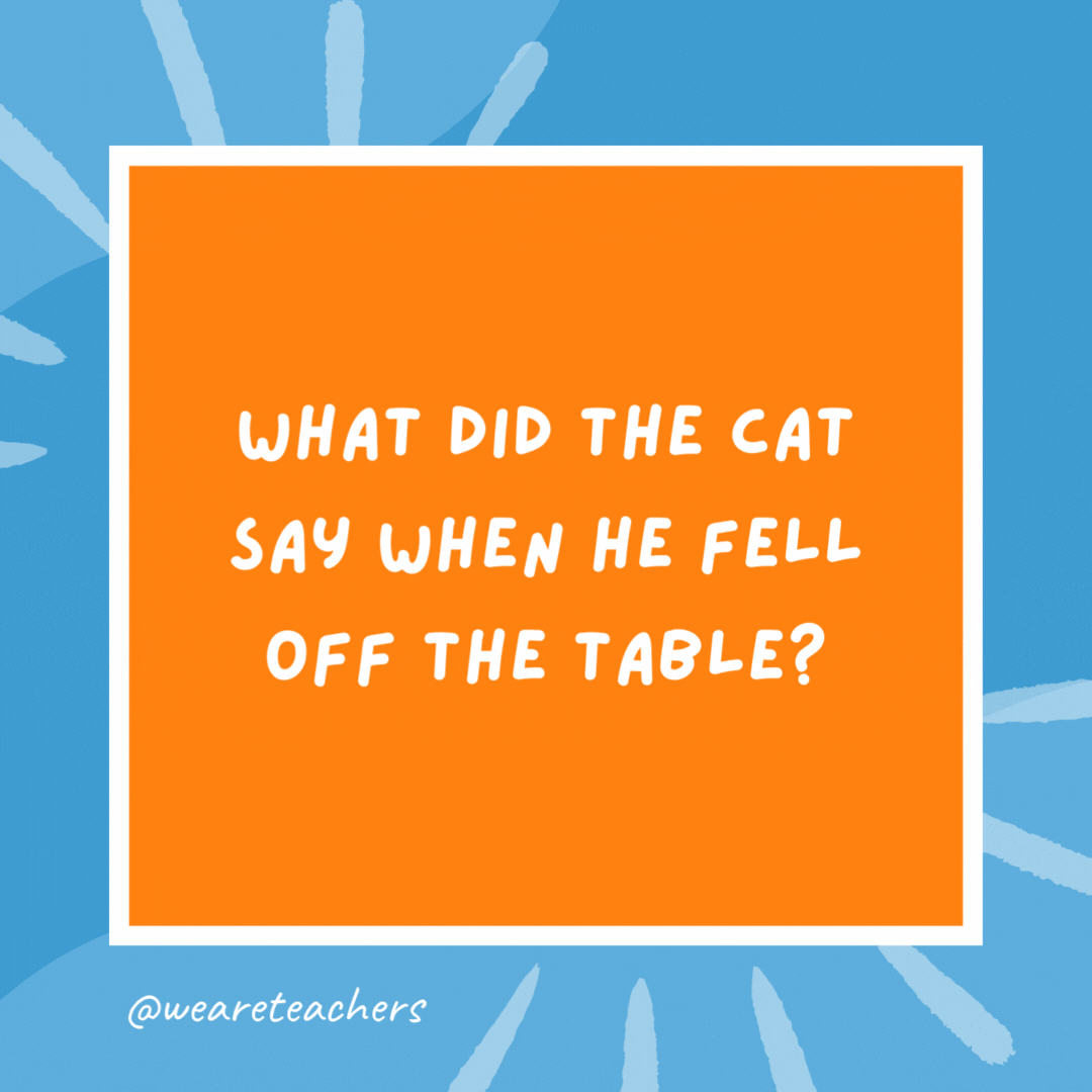 What did the cat say when he fell off the table? “Me-ow.” What did the cat say when he fell off the table?