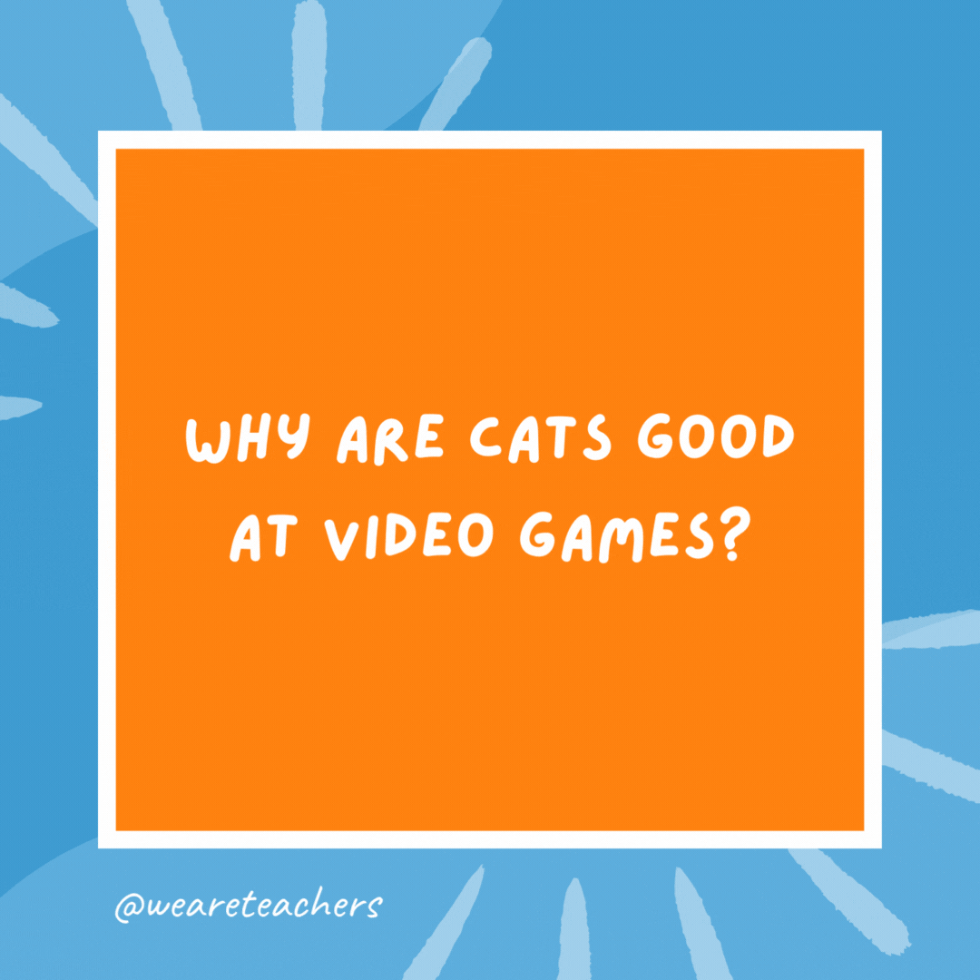 Why are cats good at video games? Because they have nine lives. Why are cats good at video games?
Because they have nine lives.- kindergarten jokes