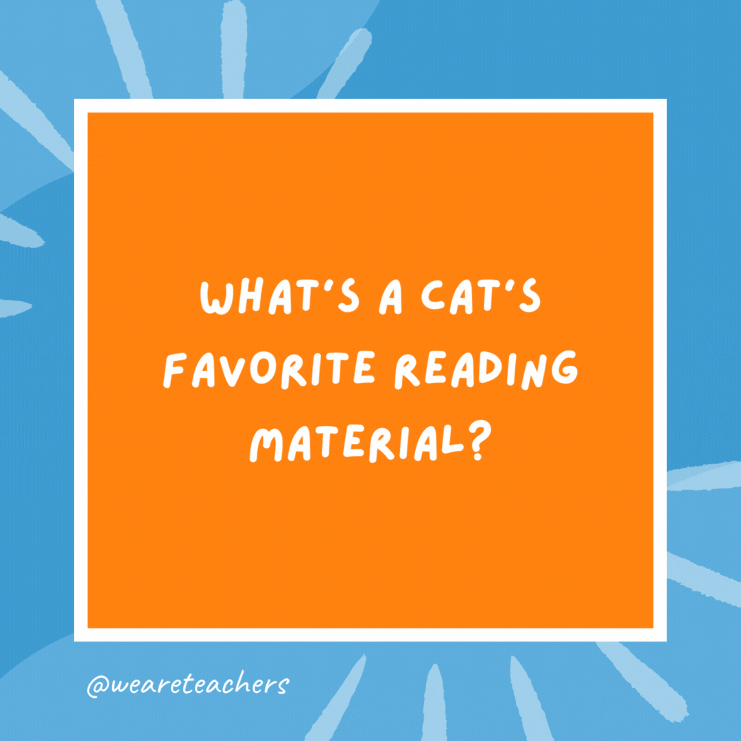 What’s a cat’s favorite reading material? A cat-alog. What's a cat's favorite reading material?
A cat-alog.