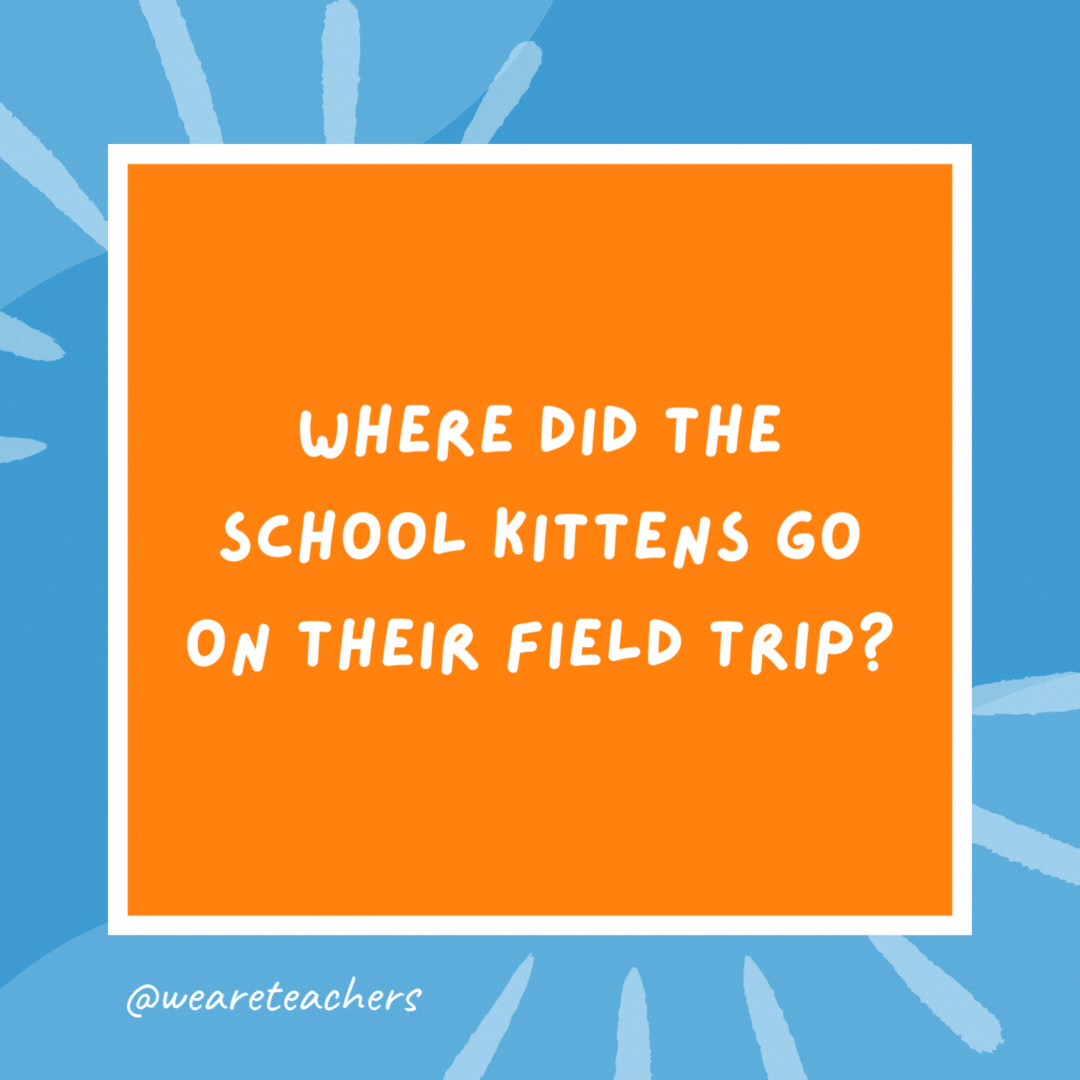 Where did the school kittens go on their field trip? To the mew-seum. Where did the school kittens go on their field trip?
To the mew-seum.