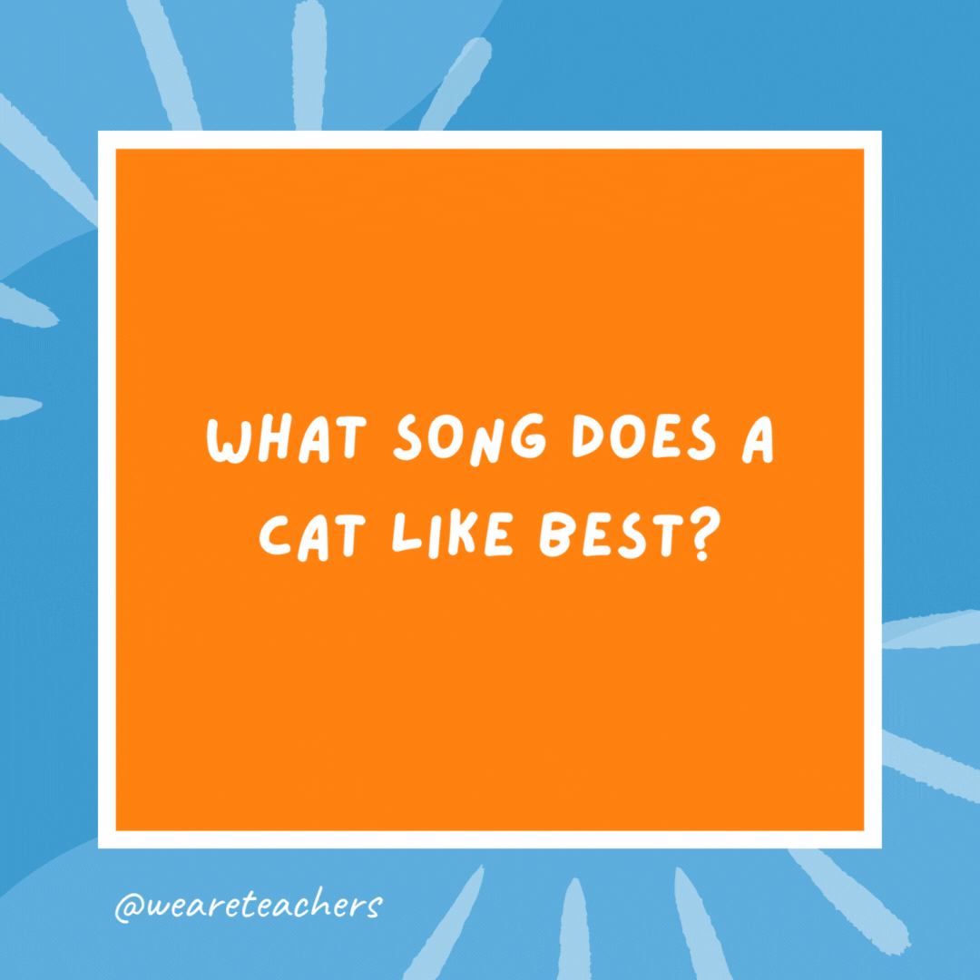What song does a cat like best? Three Blind Mice. What song does a cat like best?
Three Blind Mice.