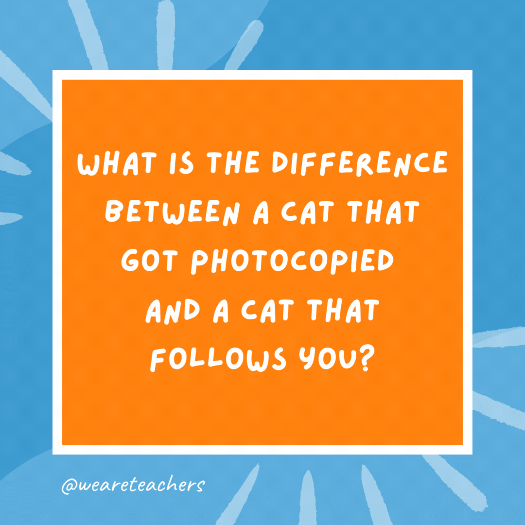 What is the difference between a cat that got photocopied and a cat that follows you? One is a cat copy, the other is a copy cat. What is the difference between a cat that got photocopied and a cat that follows you?
One is a cat copy, the other is a copy cat.- kindergarten jokes