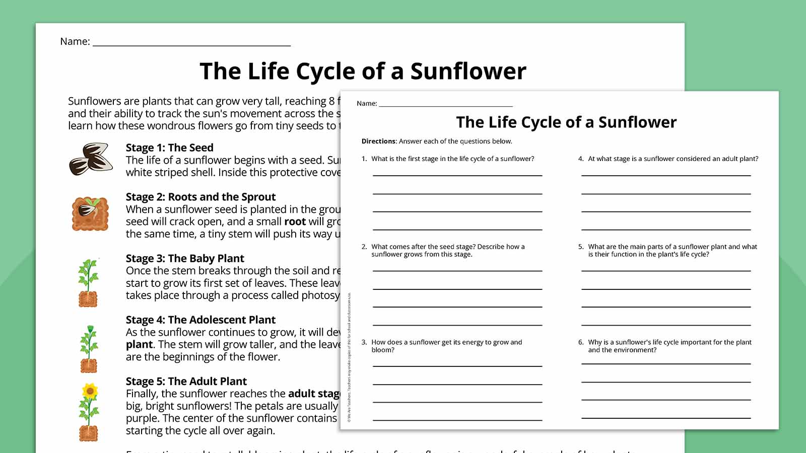 Plant life Reading comprehension