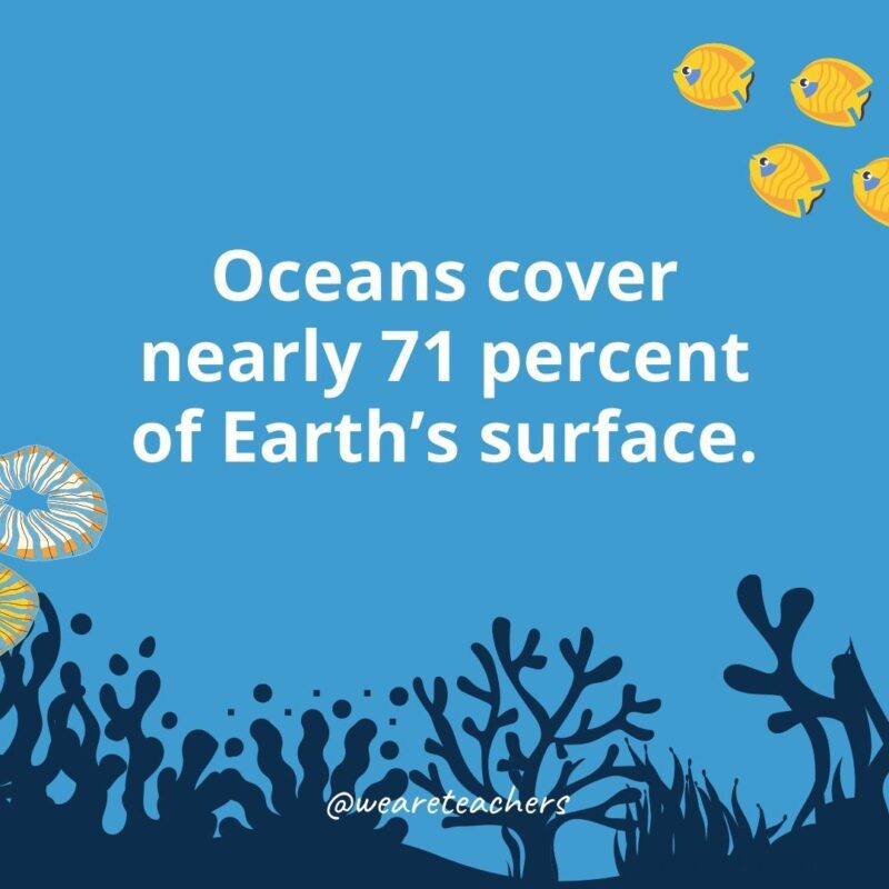 22 Amazing Ocean Facts for Kids Ocean facts for kids: oceans cover nearly 71 percent of Earth’s surface.