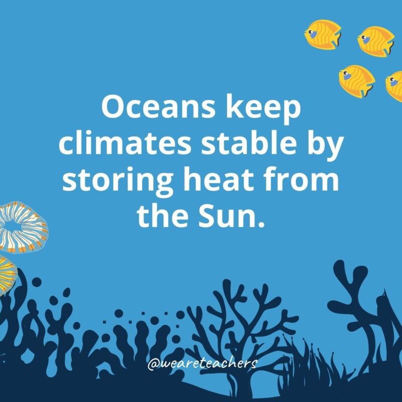 22 Amazing Ocean Facts for Kids Ocean facts for kids: Oceans keep climates stable by storing heat from the Sun.