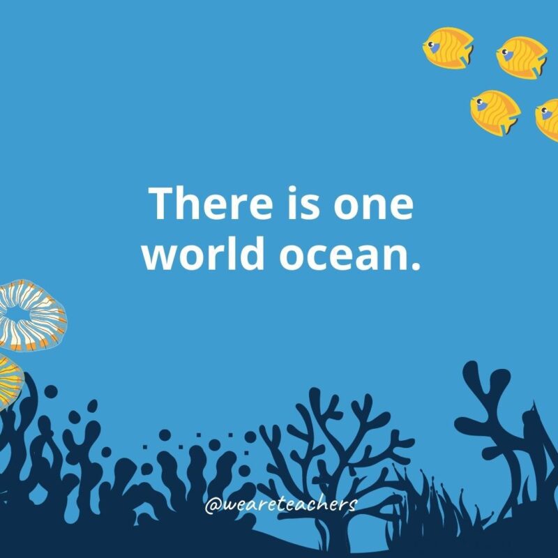 22 Amazing Ocean Facts for Kids There is one world ocean.