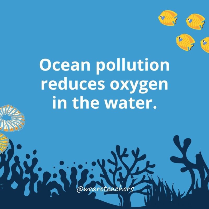 22 Amazing Ocean Facts for Kids Ocean pollution reduces oxygen in the water.