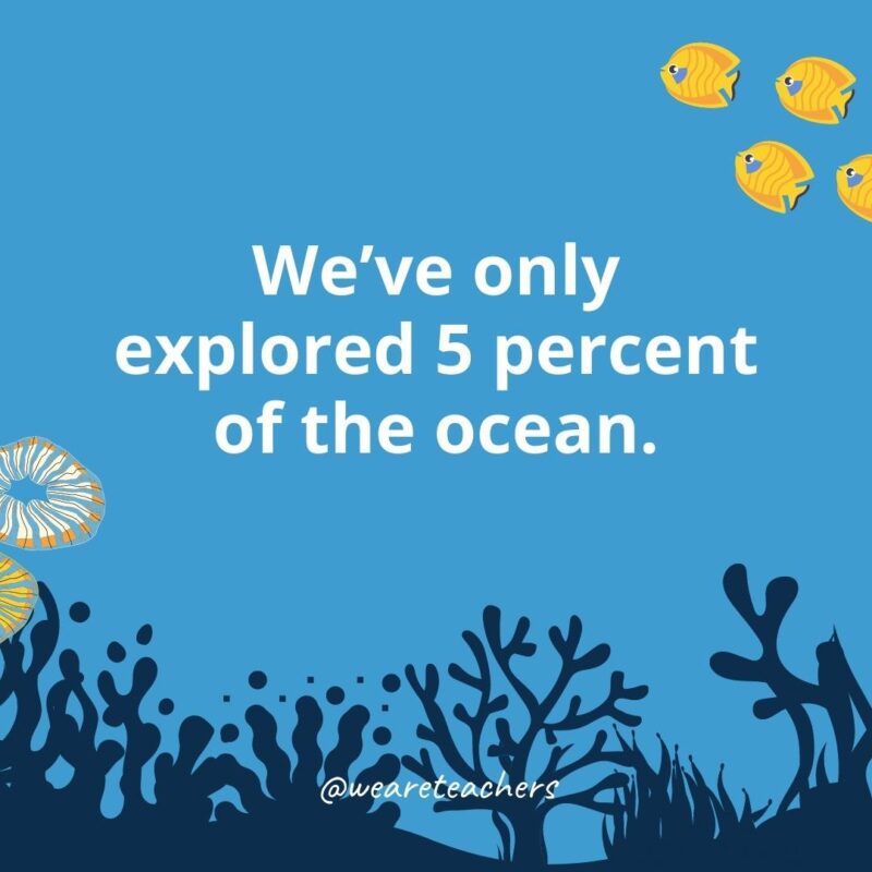 22 Amazing Ocean Facts for Kids We’ve only explored 5 percent of the ocean.