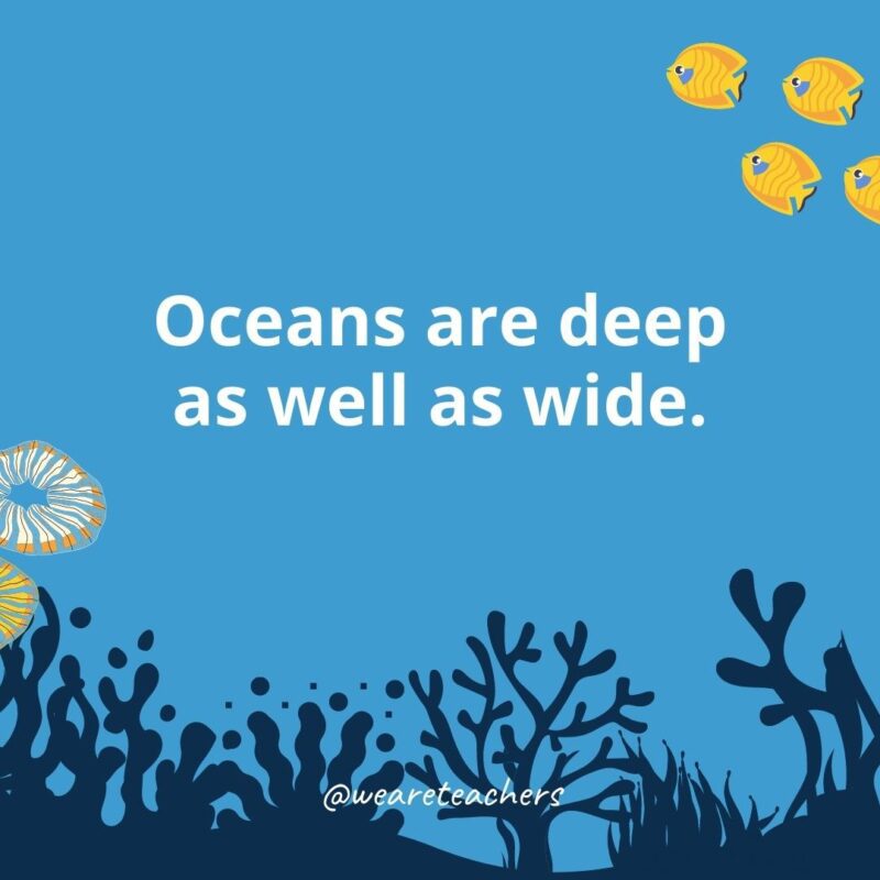 22 Amazing Ocean Facts for Kids Oceans are deep as well as wide.
