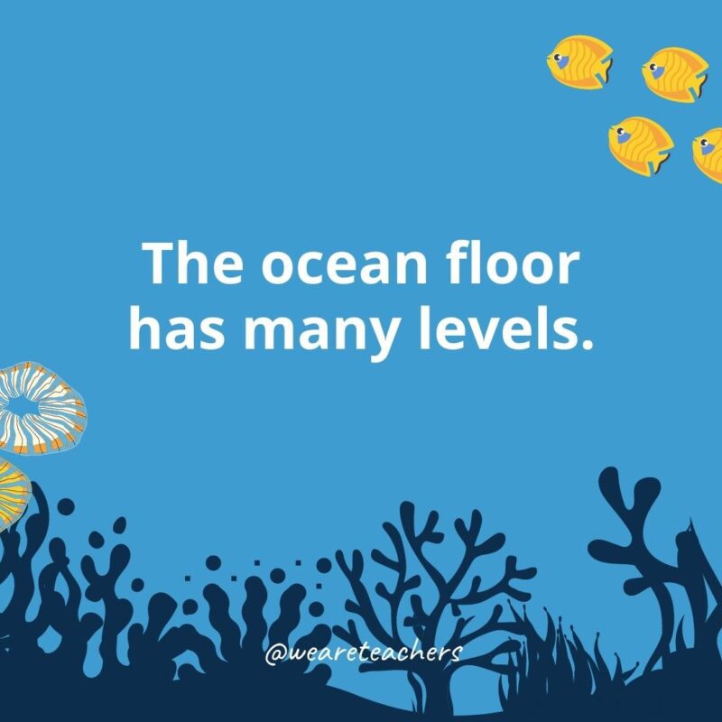 22 Amazing Ocean Facts for Kids Ocean facts for kids: the ocean floor has many levels.
