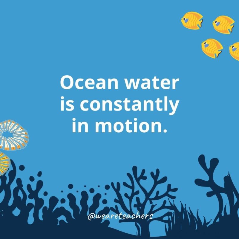 22 Amazing Ocean Facts for Kids Ocean water is constantly in motion.