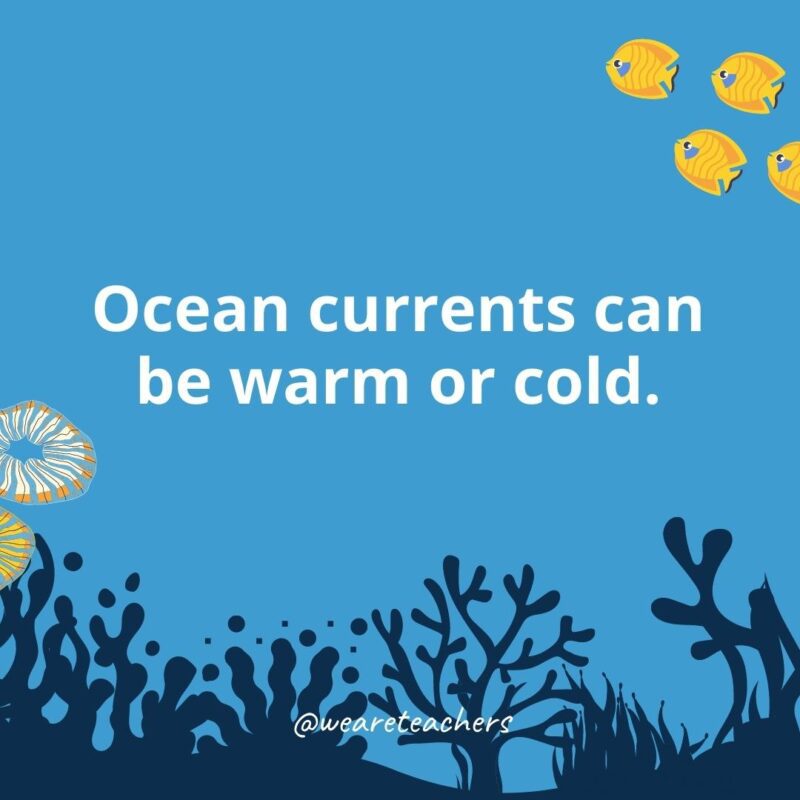 22 Amazing Ocean Facts for Kids Ocean currents can be warm or cold.