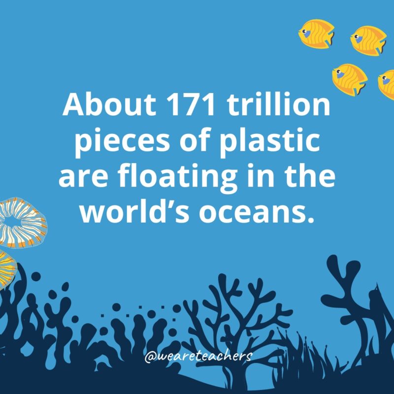 Ocean-Facts-18 About 171 trillion pieces of plastic are floating in the world’s oceans.