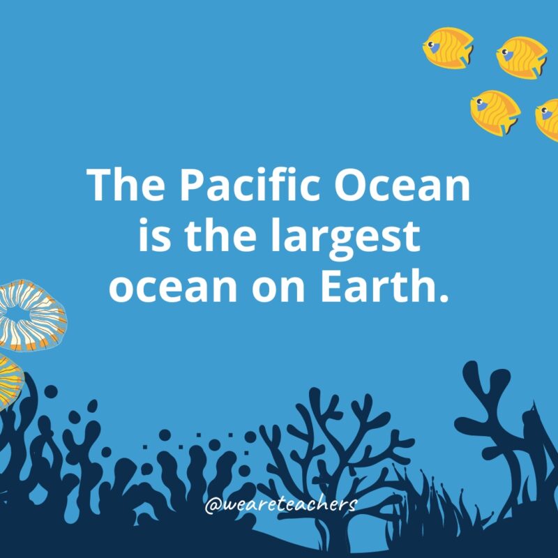 Ocean Facts 23 Ocean facts for kids: The Pacific Ocean is the largest ocean on Earth.