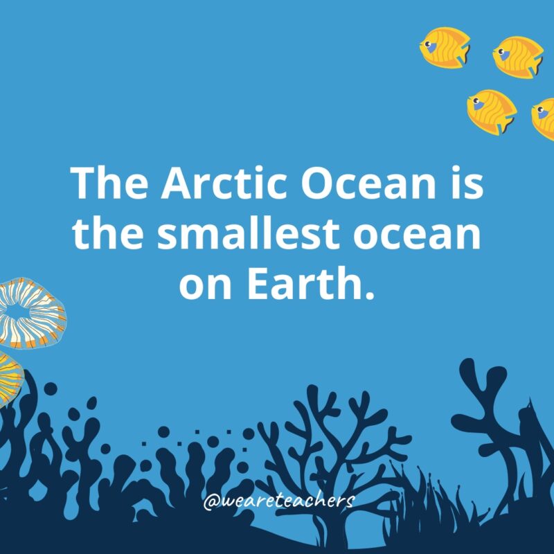Ocean Facts 24 The Arctic Ocean is the smallest ocean on Earth.