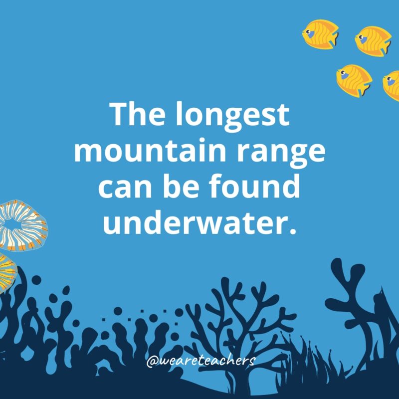 Ocean Facts 25 Ocean facts for kids: The longest mountain range can be found underwater.