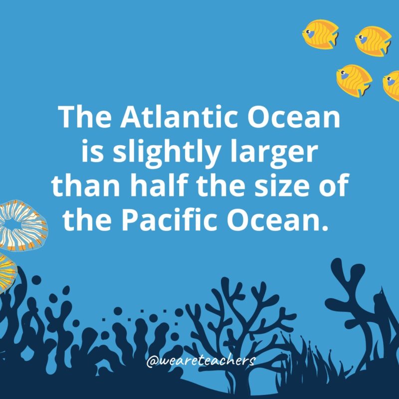 Ocean-Facts-27-1 The Atlantic Ocean is slightly larger than half the size of the Pacific Ocean.