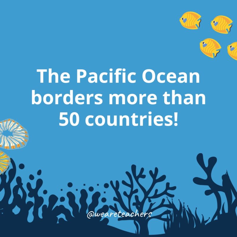 Ocean Facts 29 The Pacific Ocean borders more than 50 countries!