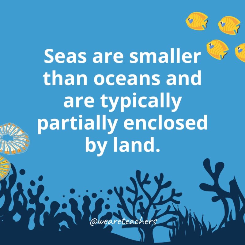 Ocean-Facts-3 Seas are smaller than oceans and are typically partially enclosed by land.