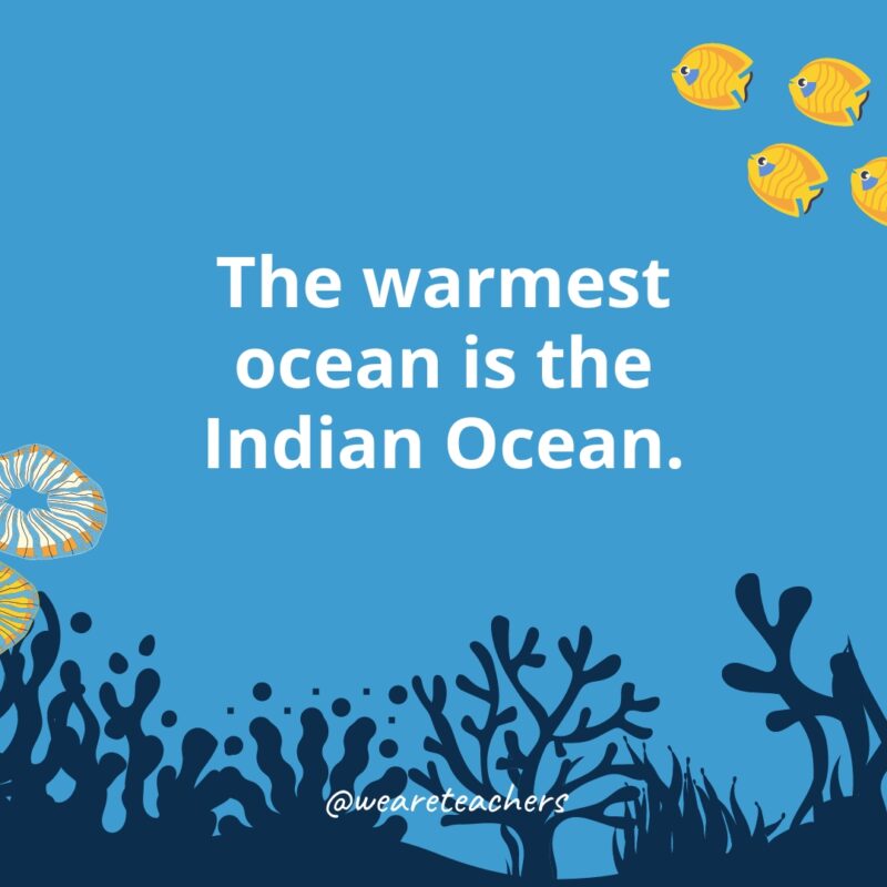 Ocean Facts 31 Ocean facts for kids: The warmest ocean is the Indian Ocean.