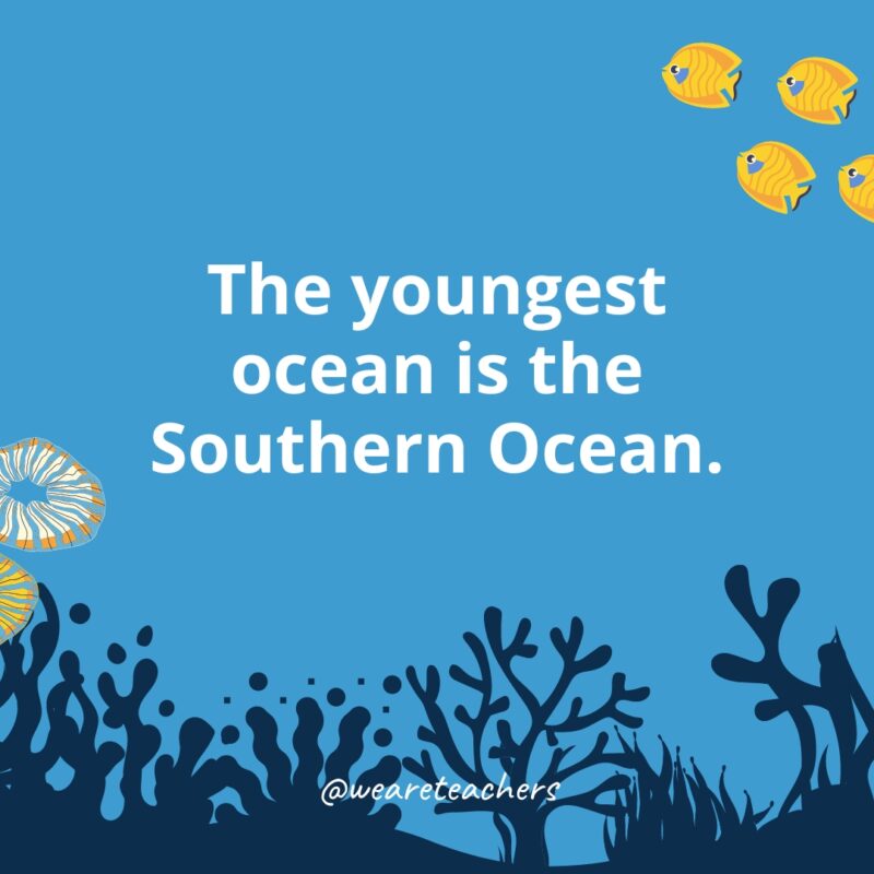 Ocean Facts 32 The youngest ocean is the Southern Ocean.