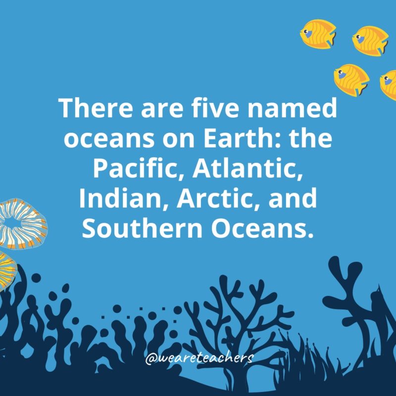 Ocean-Facts-33-1 There are five named oceans on Earth: the Pacific, Atlantic, Indian, Arctic, and Southern Oceans.