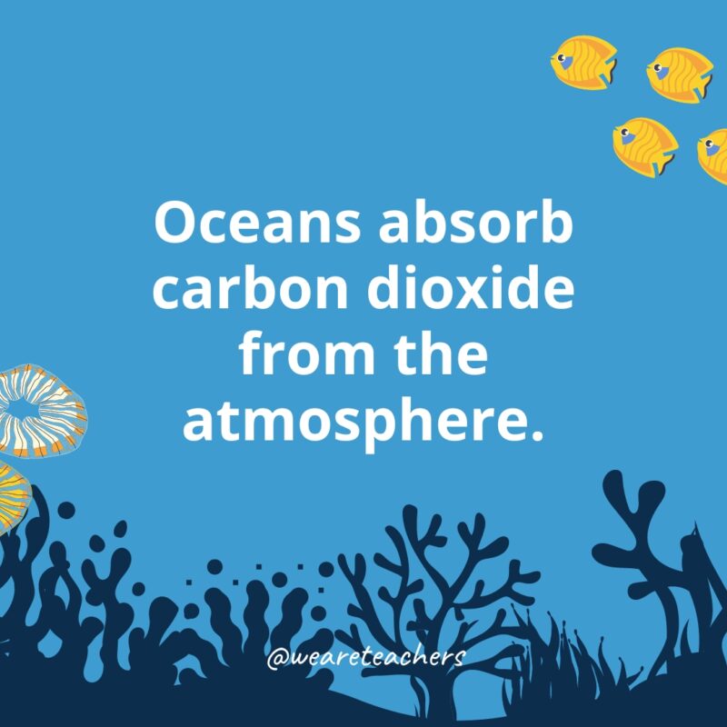 Ocean-Facts-36 Oceans absorb carbon dioxide from the atmosphere.