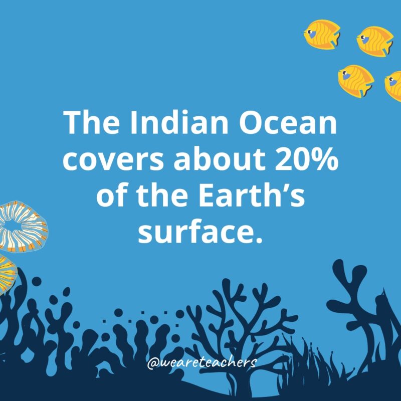 Ocean-Facts-38 The Indian Ocean covers about 20% of the Earth's surface.