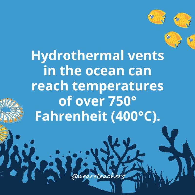 Ocean-Facts-40 Hydrothermal vents in the ocean can reach temperatures of over 750° Fahrenheit (400°C).