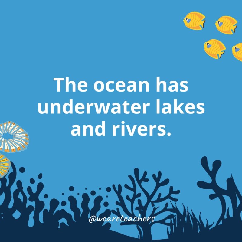 Ocean-Facts-41 The ocean has underwater lakes and rivers.