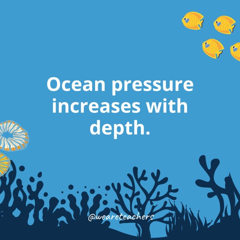 Ocean-Facts-42 Ocean pressure increases with depth.