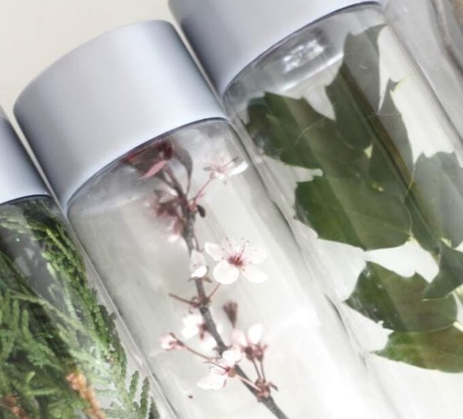 Nature Bottles Clear bottles filled with a variety of natural items like leaves and flowers