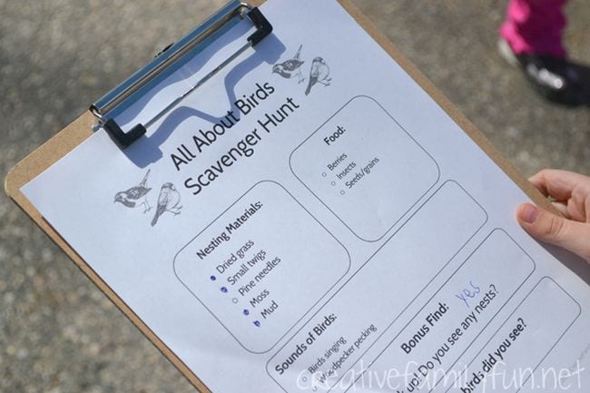 Bird Hunt Clipboard with an All About Birds scavenger hunt worksheet