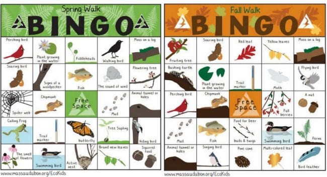 Nature Bingo Two nature bingo cards with items like birds, trees, and more