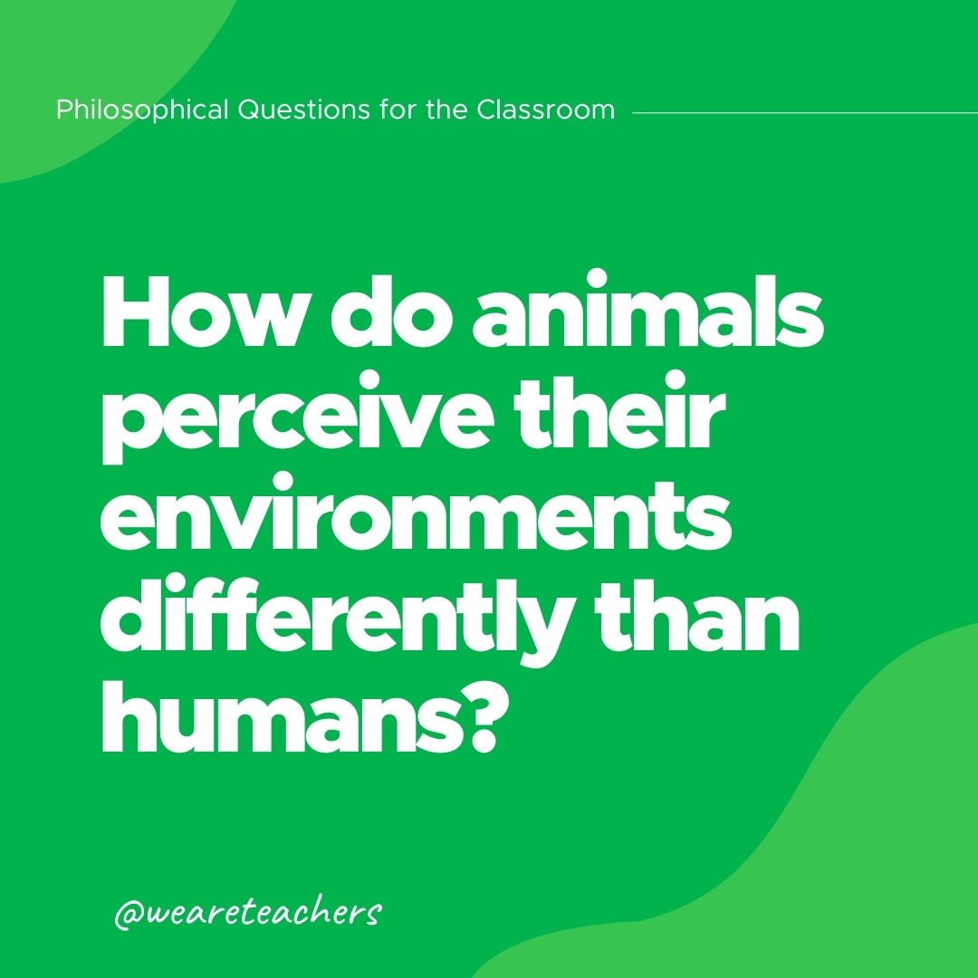Philosophical-Questions-17_v2 How do animals perceive their environments differently than humans?