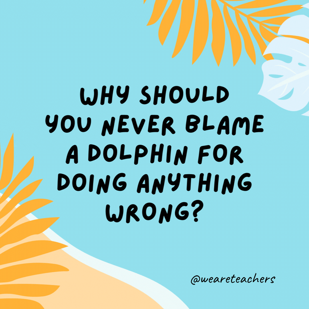 38 Super Silly Summer Jokes for Kids Why should you never blame a dolphin for doing anything wrong? Because they never do it on porpoise.
