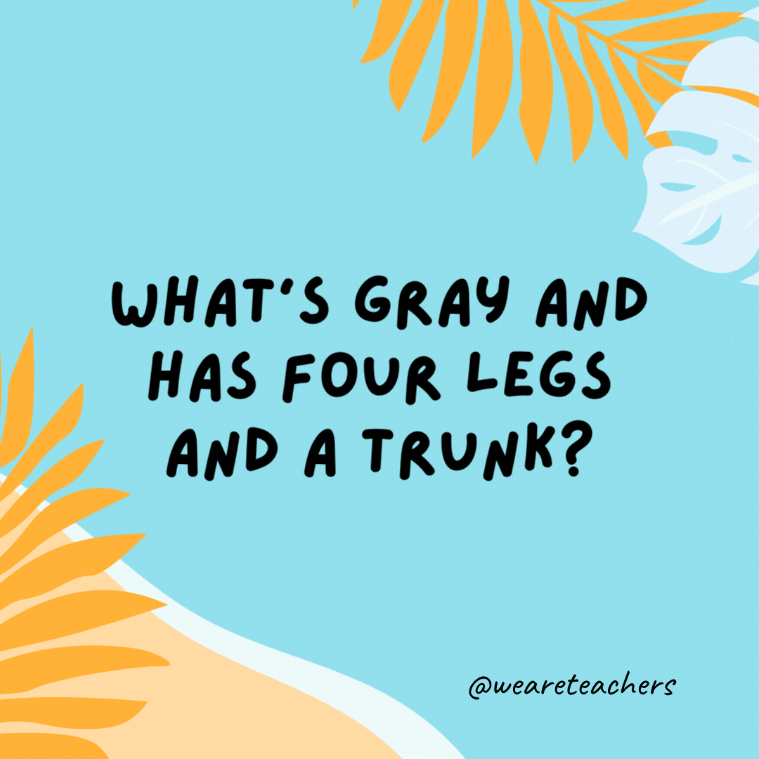 38 Super Silly Summer Jokes for Kids What’s gray and has four legs and a trunk? A mouse on vacation.- funny summer jokes for kids
