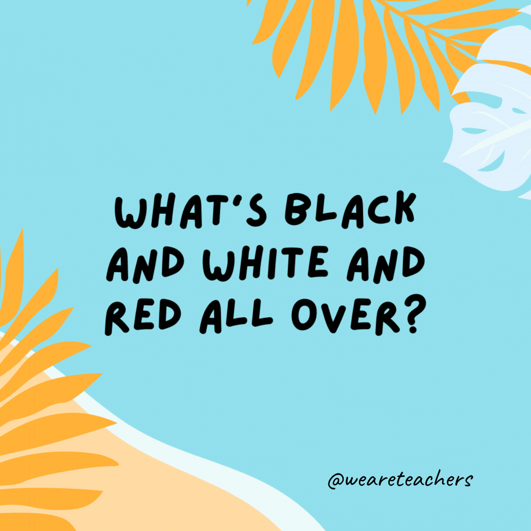 38 Super Silly Summer Jokes for Kids What’s black and white and red all over? A zebra with a sunburn.