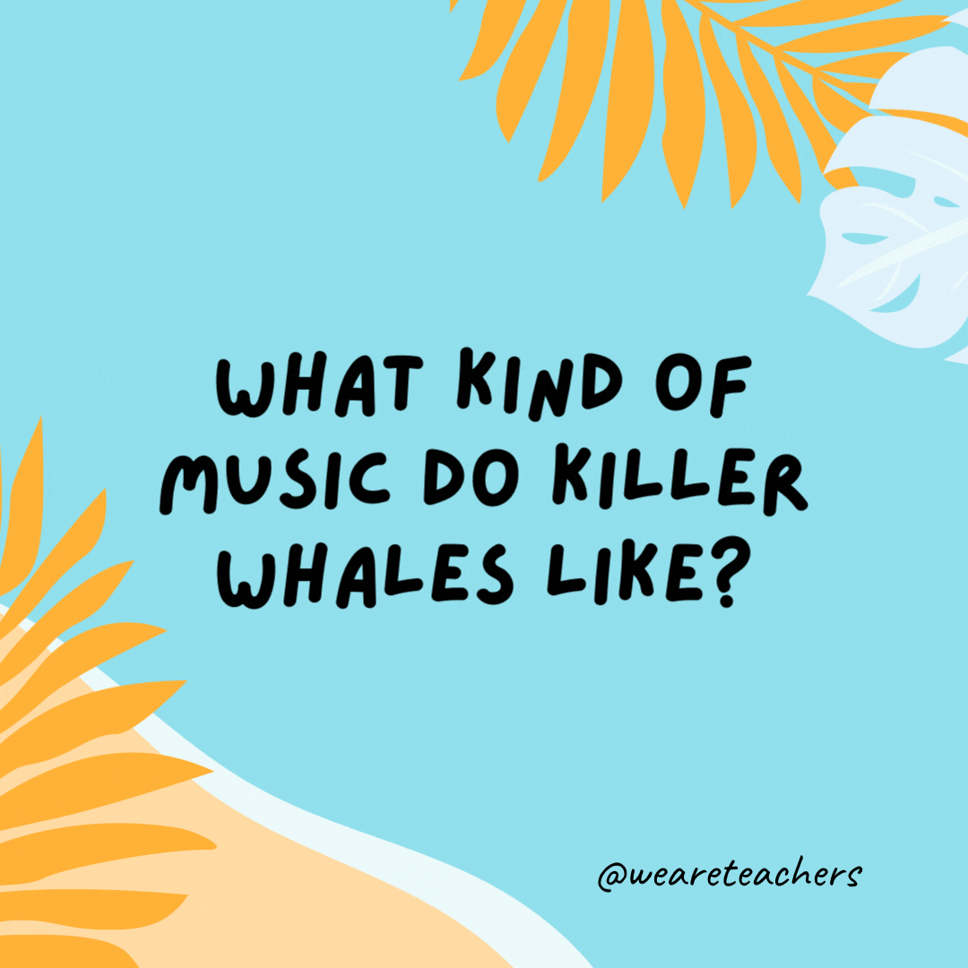 38 Super Silly Summer Jokes for Kids What kind of music do killer whales like? They listen to the orca-stra.- funny summer jokes for kids