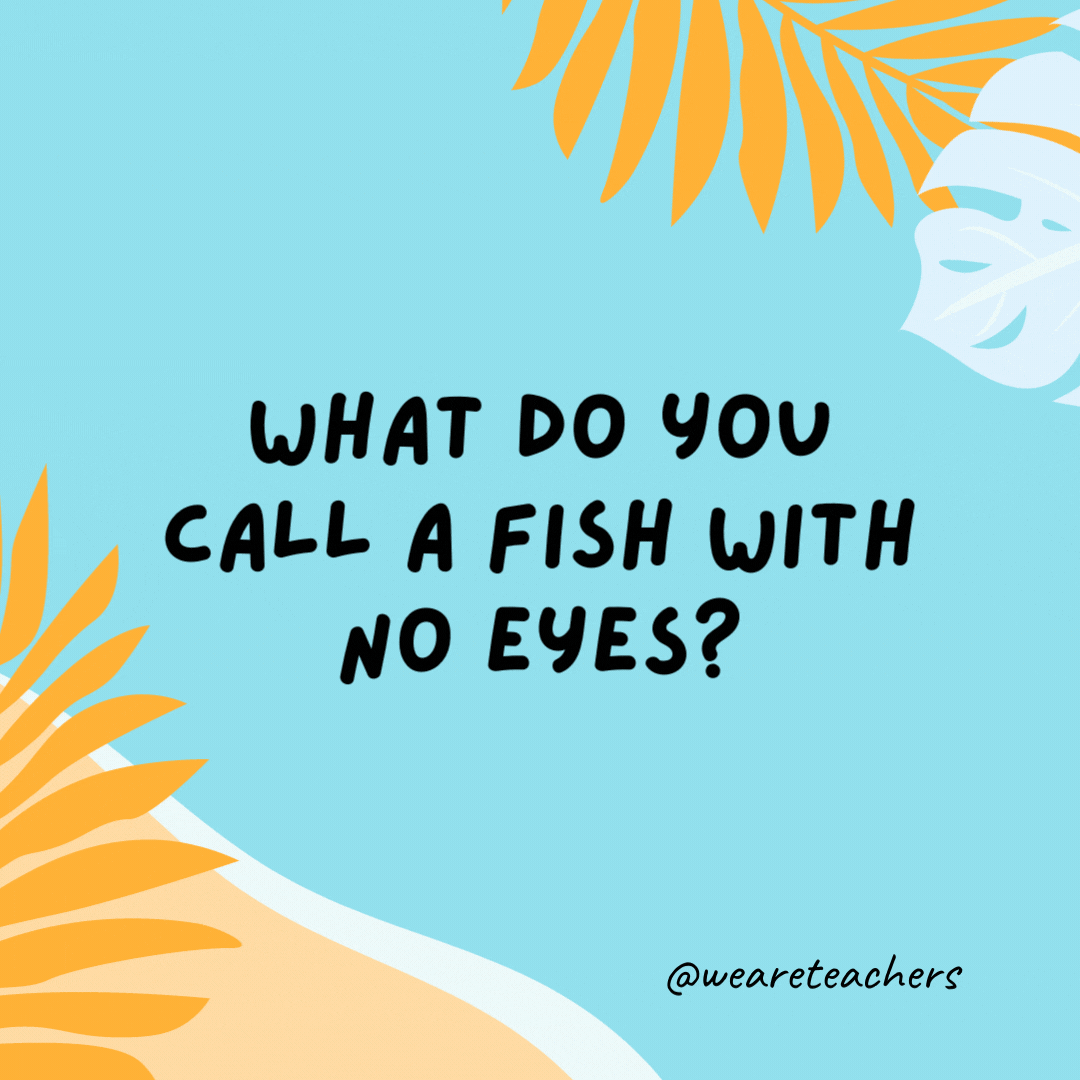 38 Super Silly Summer Jokes for Kids What do you call a fish with no eyes? A fsh.