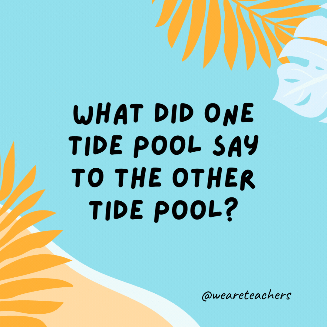 38 Super Silly Summer Jokes for Kids What did one tide pool say to the other tide pool? Show me your mussels.