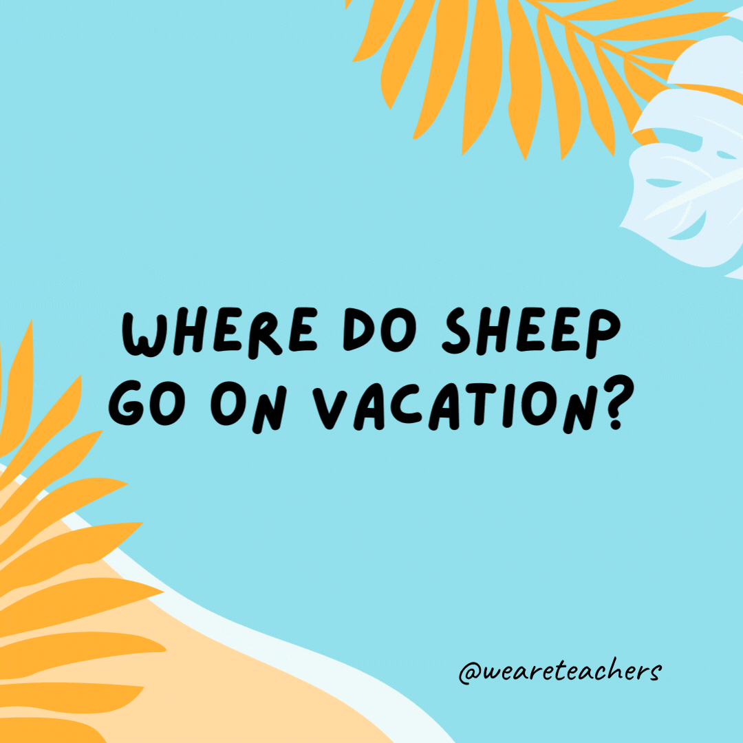 38 Super Silly Summer Jokes for Kids Where do sheep go on vacation? To the Baa-hamas.