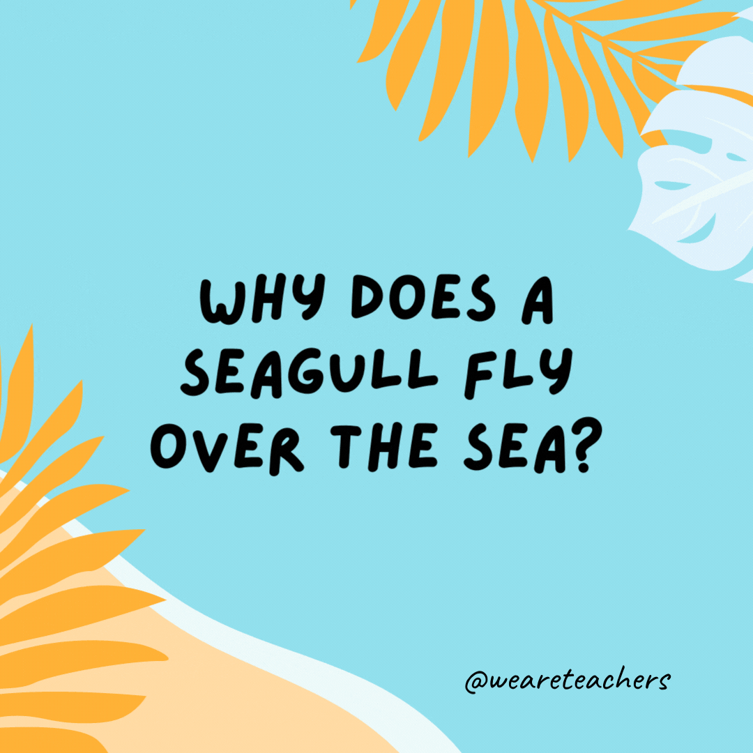 38 Super Silly Summer Jokes for Kids Why does a seagull fly over the sea? Because if it flew over the bay, it would be a bagel.- funny summer jokes for kids