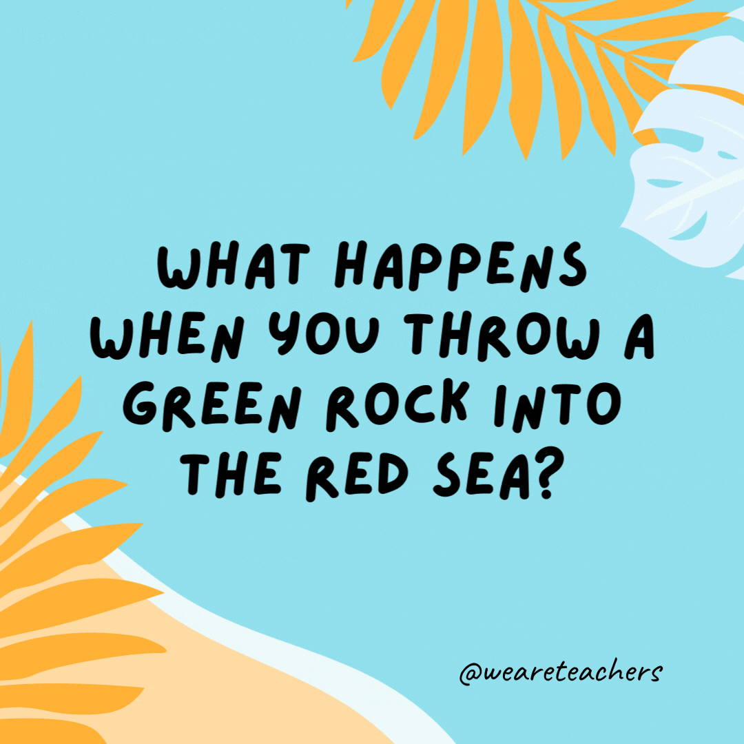 38 Super Silly Summer Jokes for Kids What happens when you throw a green rock into the Red Sea? It gets wet.- funny summer jokes for kids