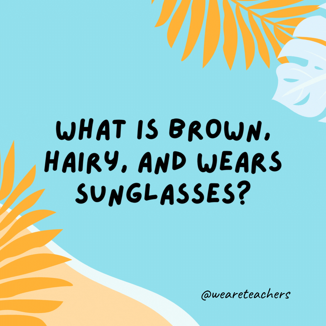38 Super Silly Summer Jokes for Kids What is brown, hairy, and wears sunglasses? A coconut on vacation. - funny summer jokes for kids